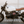 BMW IGNITION® R12 | STREET RACER SERIES